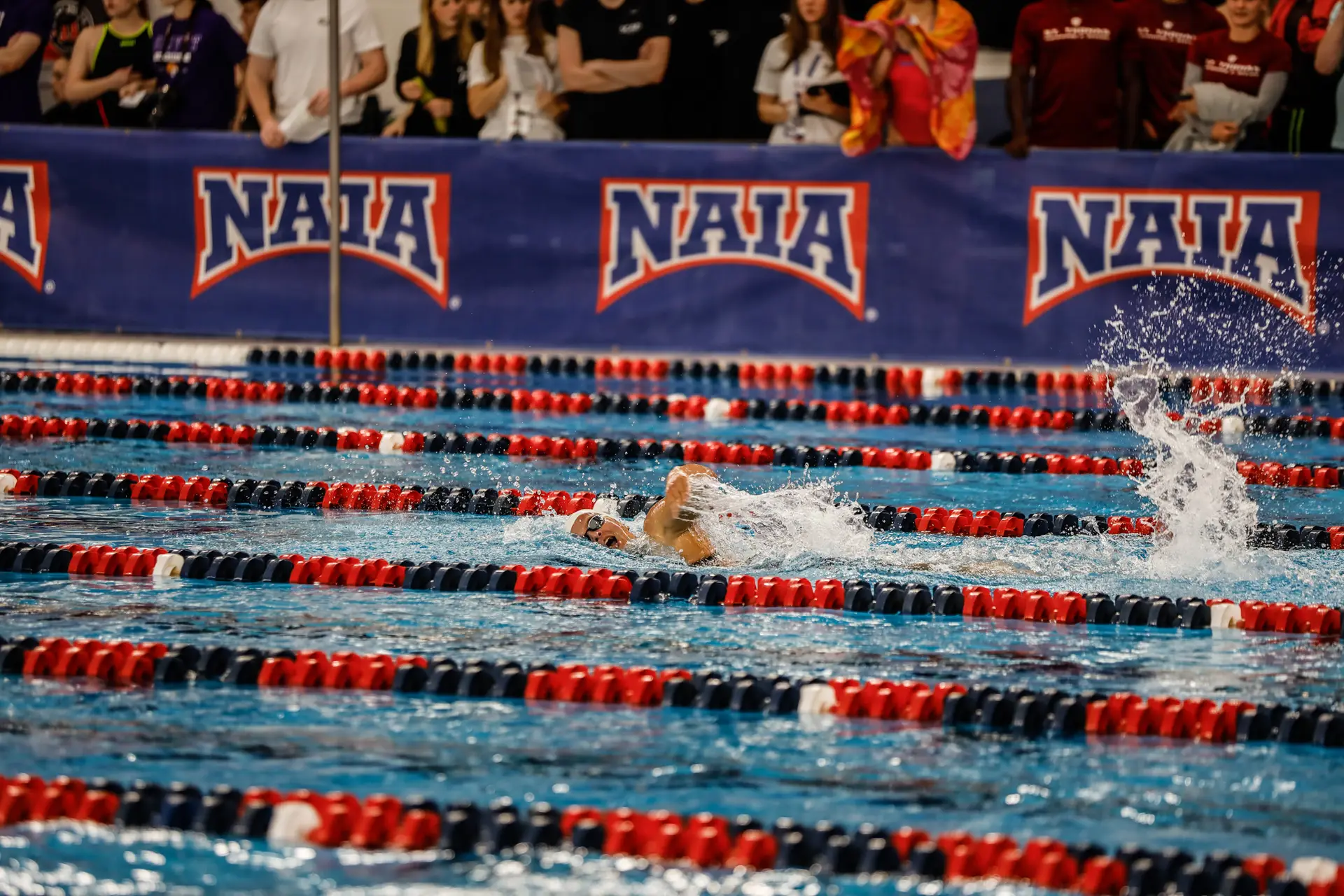 CSCAA Announces 2026  NAIA Coach & Athlete of the Year Awards, All-American Selections